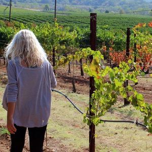 Meet your Posher, Bryn